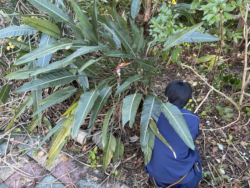 Image - 2026-02-13T104407.122